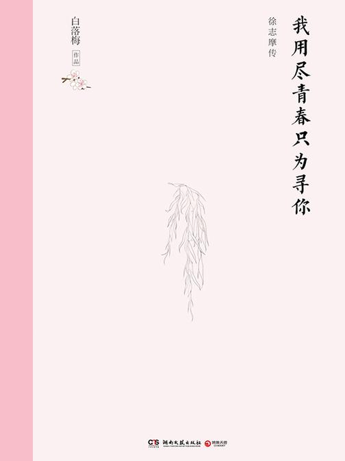 我用尽青春只为寻你(精装版)