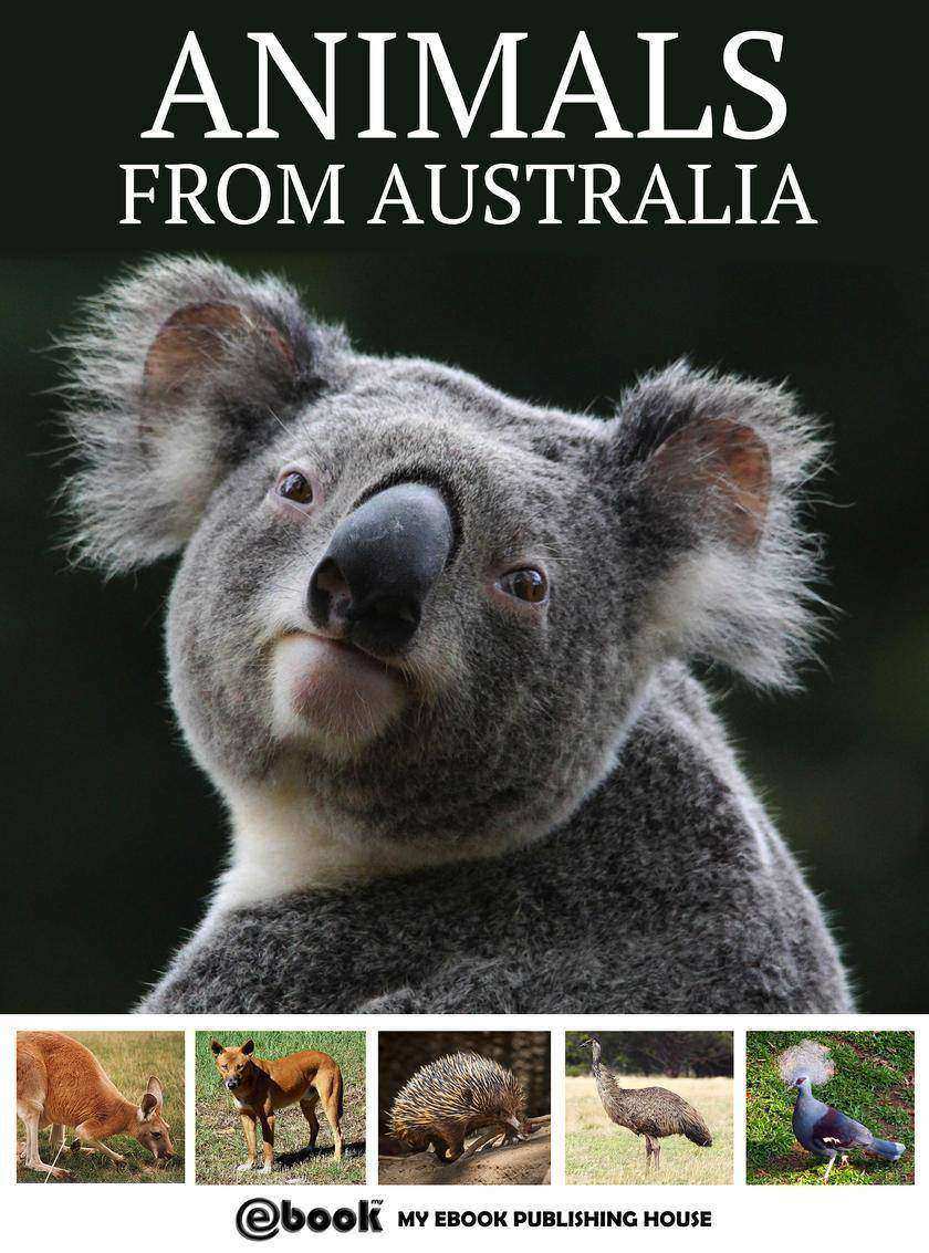Animals from Australia