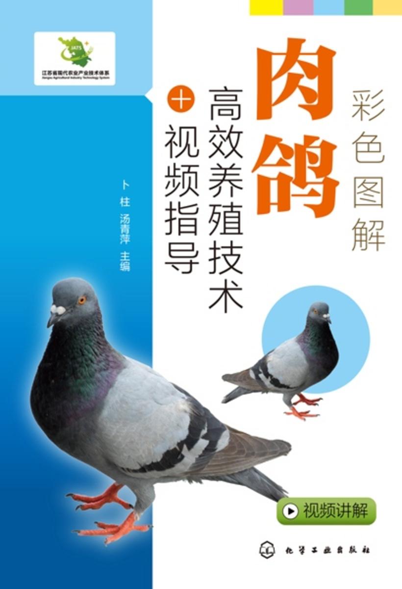 彩色图解肉鸽*养殖技术+视频指导