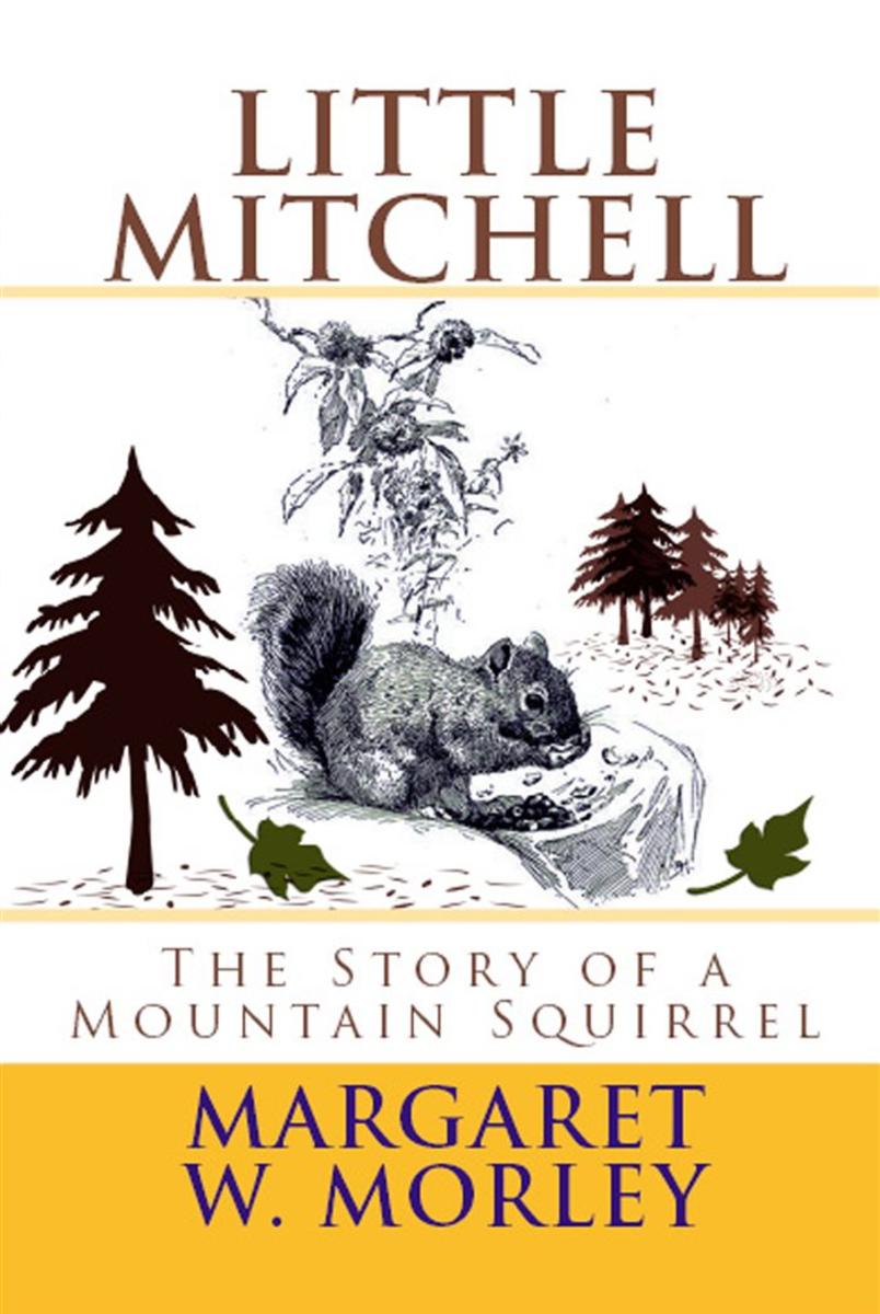 Little Mitchell: "The Story of a Mountain Squirrel"