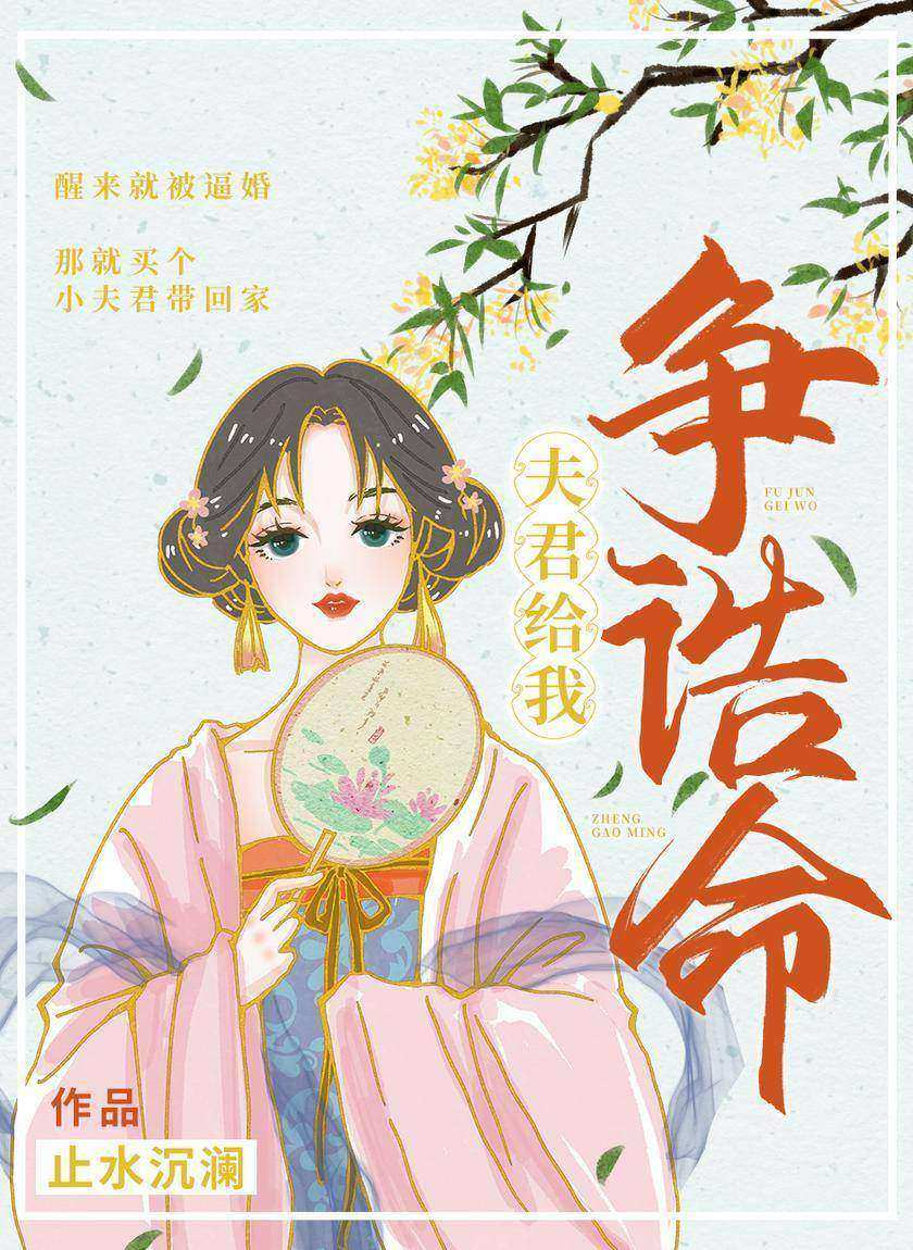 夫君给我挣诰命