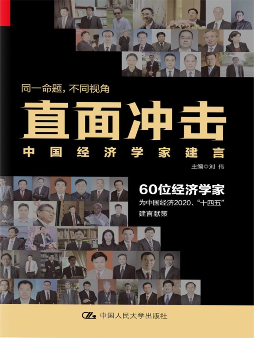 直面冲击：中国经济学家建言