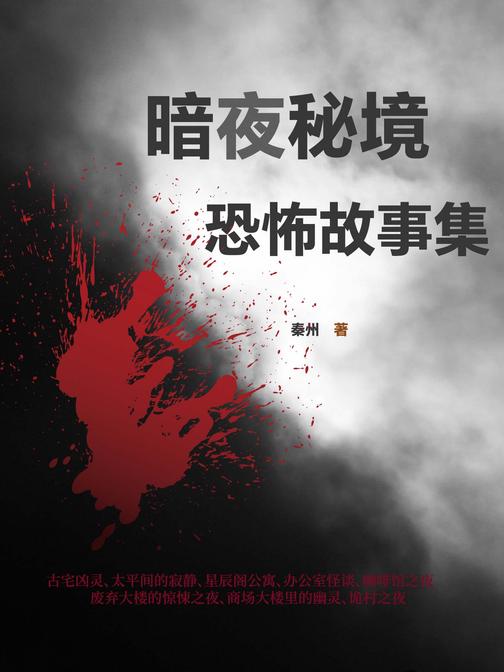 暗夜秘境:恐怖故事集