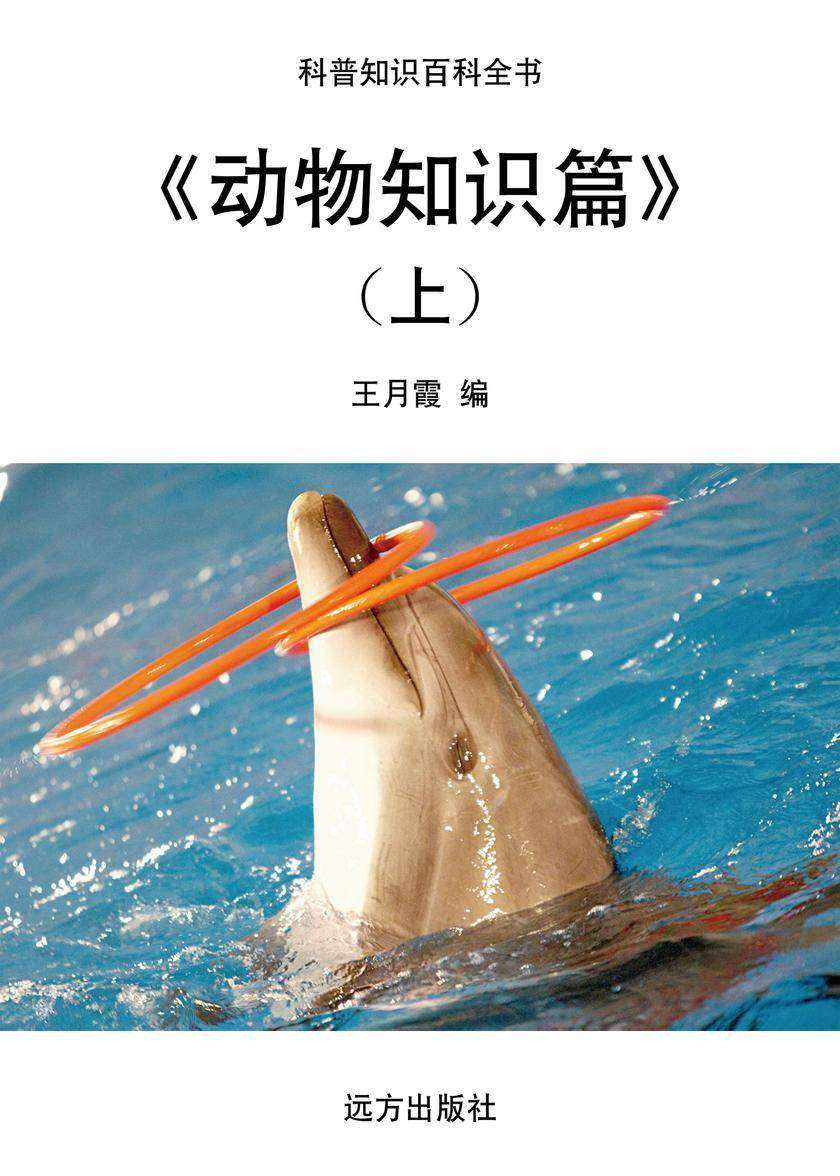动物知识篇(上)