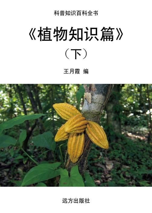 植物知识篇(下)