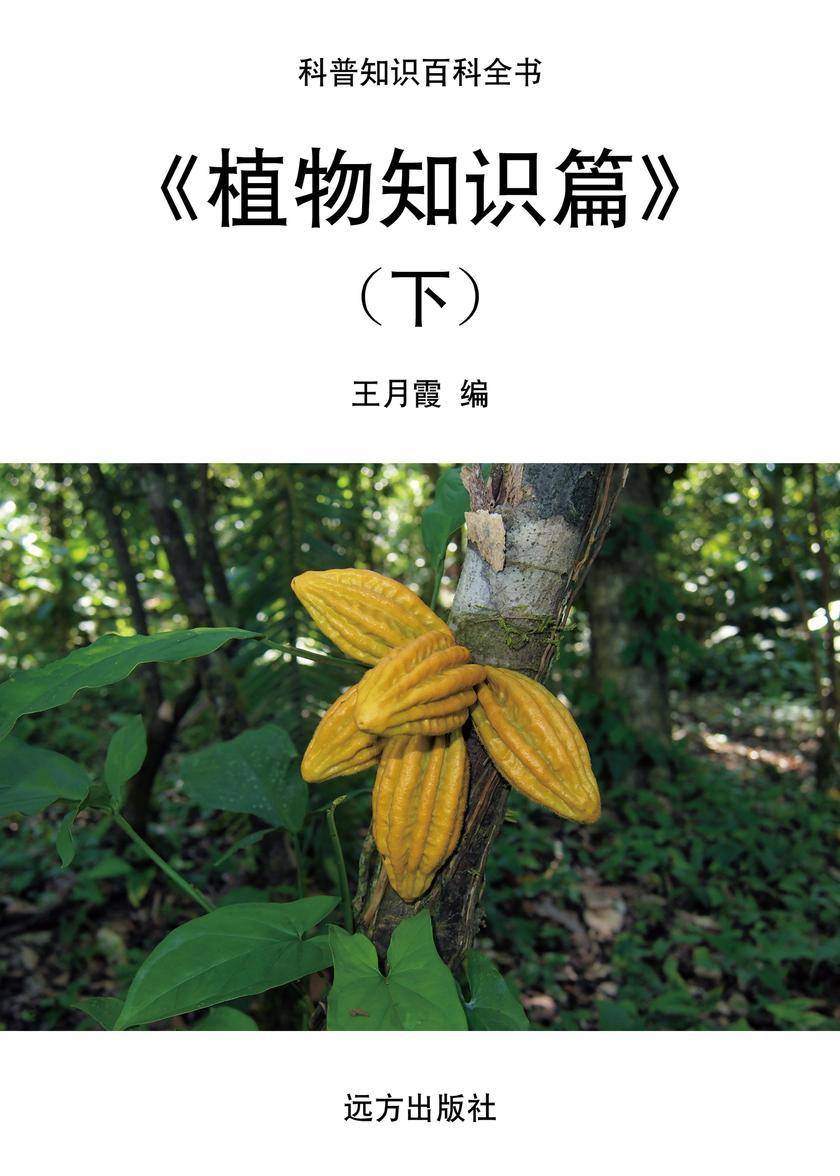 植物知识篇(下)