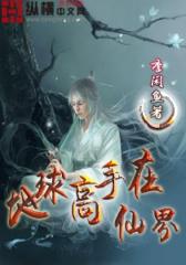 地球高手在仙界（2）