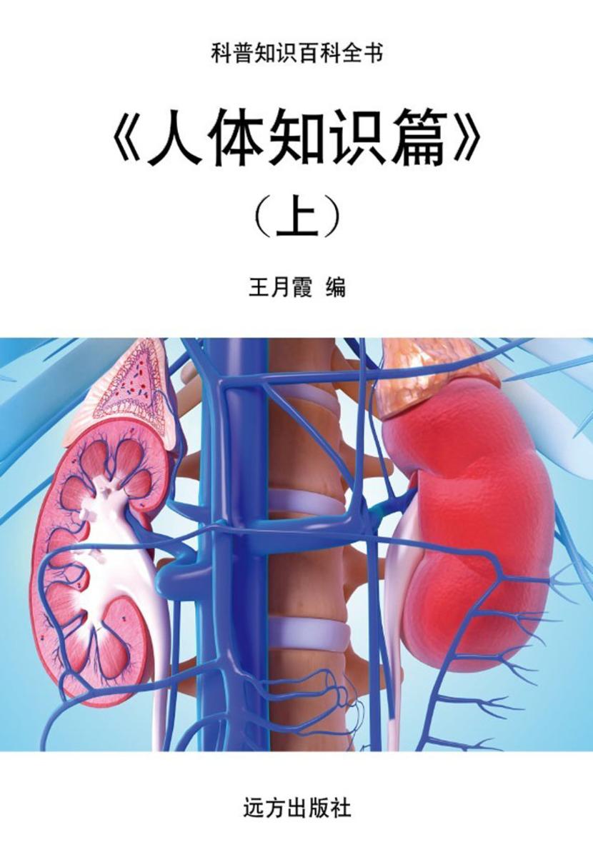 人体知识篇(上)