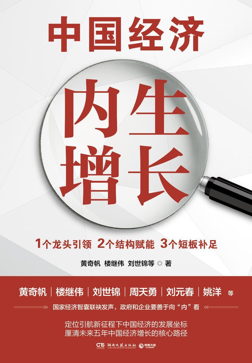 中国经济:内生增长