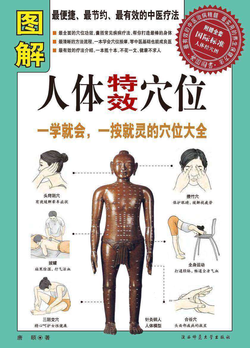 图解人体特效穴位