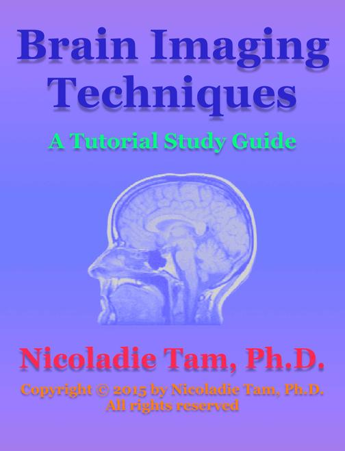Brain Imaging Techniques: A Tutorial Study Guide