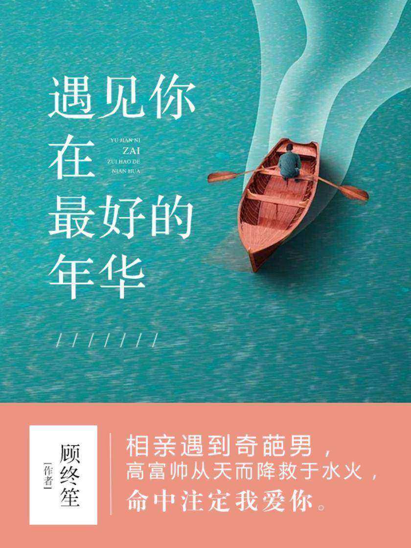 遇见你在最好的年华【相亲遇到奇葩男，高富帅从天而降救于水火，命中注定我爱你。】