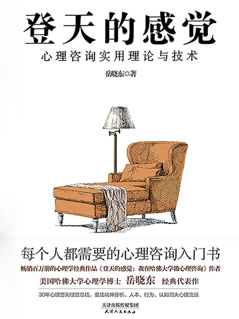 登天的感觉:心理咨询实用理论与技术
