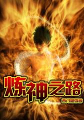 炼神之路6