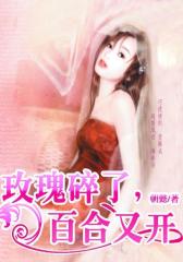 玫瑰碎了，百合又开2