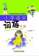义务教育课程标准实验教材小学语文词语手册.六年级.下(仅适用PC阅读)