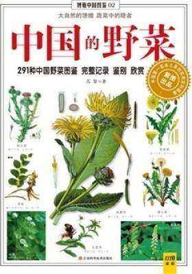 中国的野菜(仅适用PC阅读)