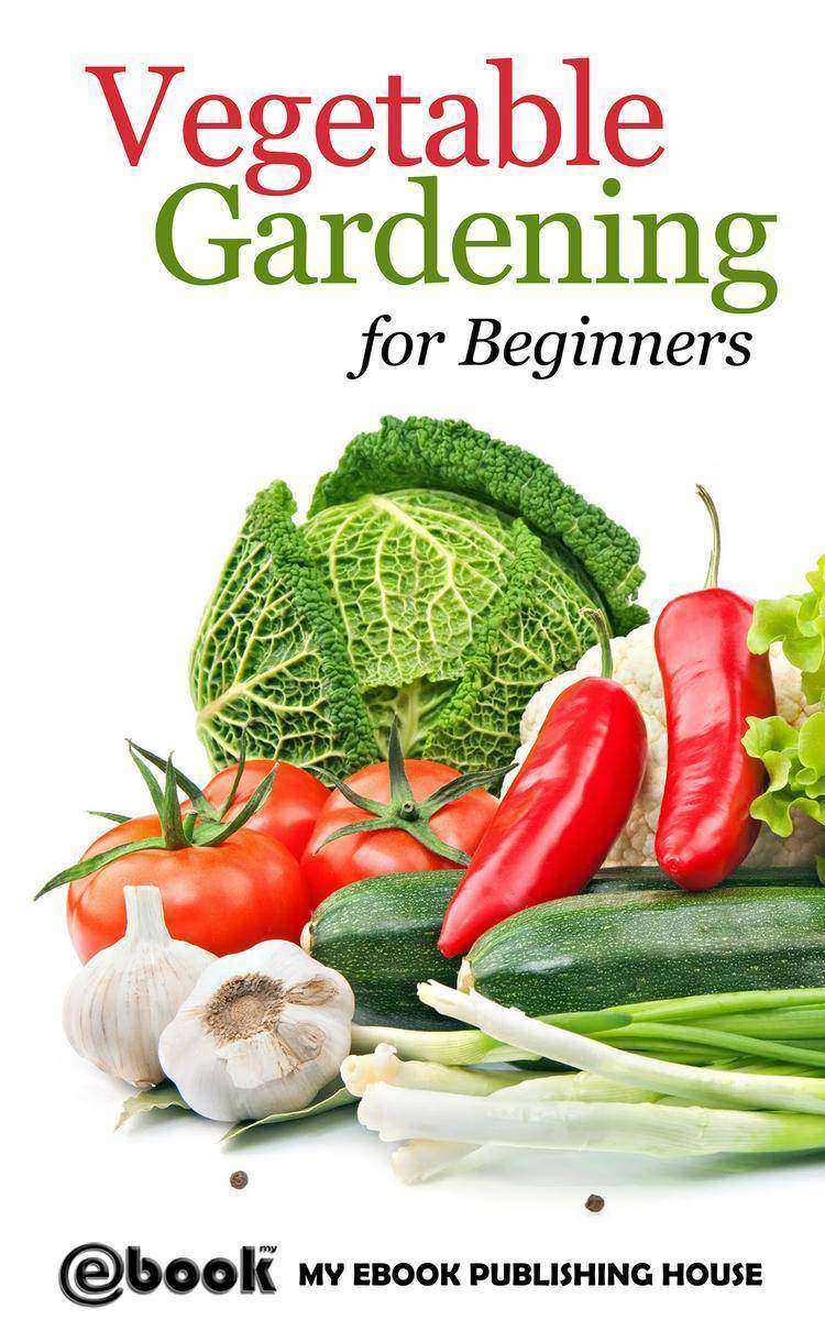 Vegetable Gardening for Beginners
