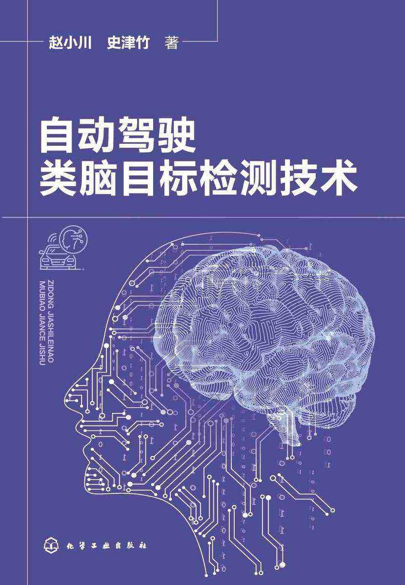 自动驾驶类脑目标检测技术