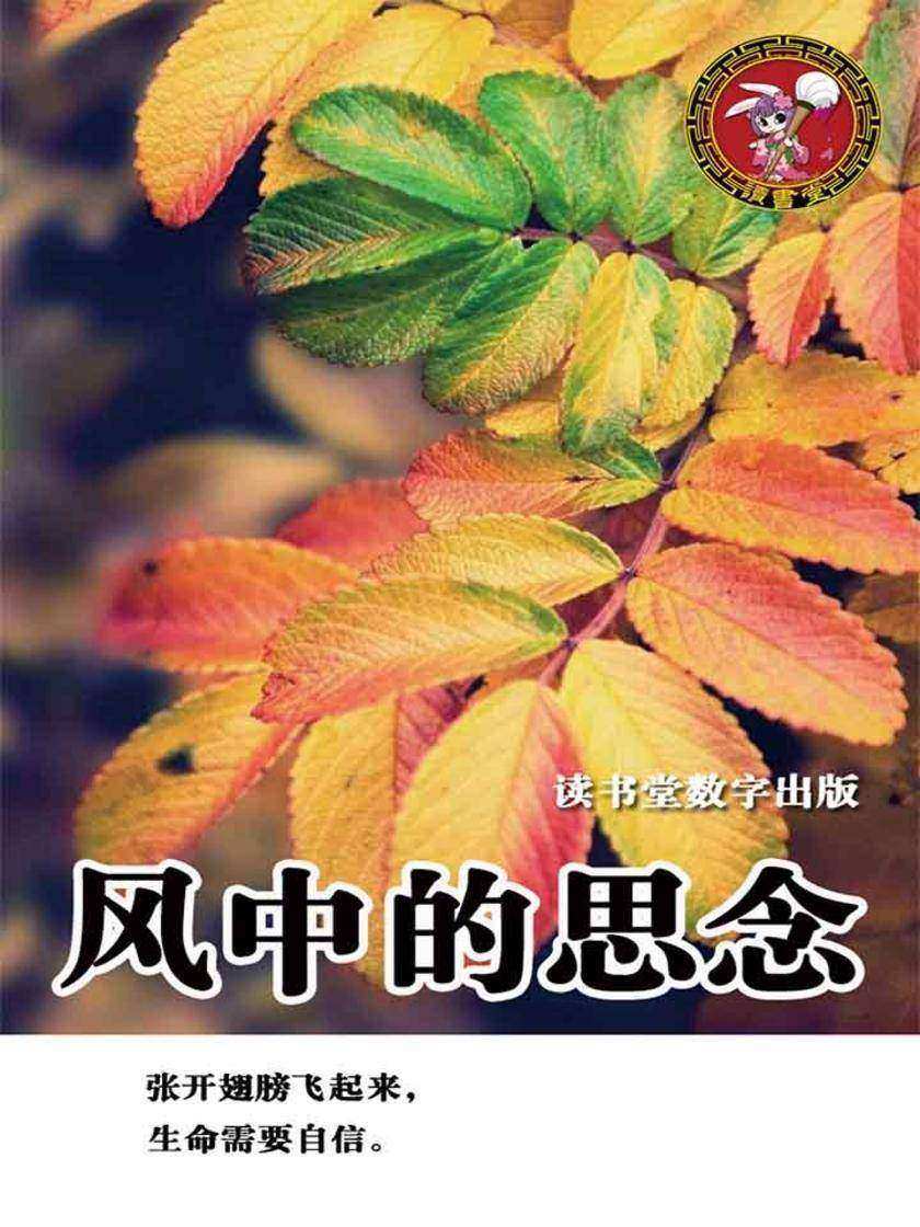 风中的思念
