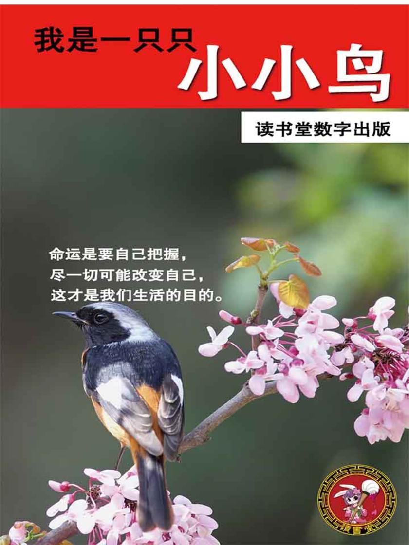 我是一只只小小鸟