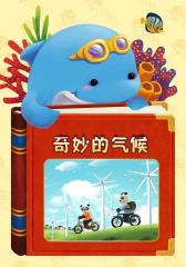 奇妙的气候(仅适用PC阅读)