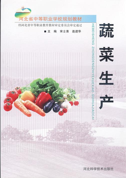 蔬菜生产
