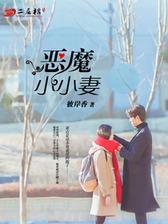 恶魔小小妻