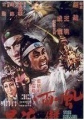 风雨双流星(影视)