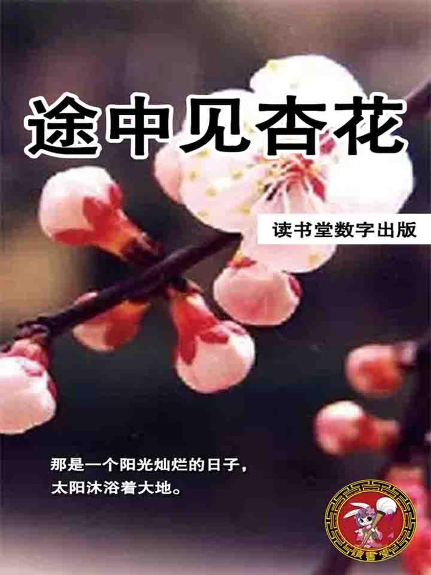 途中见杏花