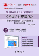圣才学习网·2014年四川省会计从业资格考试《初级会计电算化》【教材精讲＋真题解析】讲义与视频课程【8小时高清视频】(仅适用PC阅读)