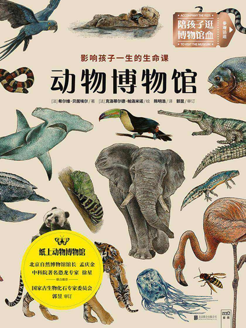 动物博物馆(法国权威动物学者和国内知名研究员,合力打造“纸上动物博物馆”,北京自然博物馆馆长孟庆金、中科院恐龙专家徐星联合推荐 )