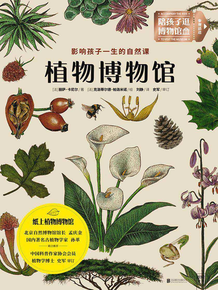植物博物馆(法国权威植物学家和国内植物学博士,倾力打造“纸上植物博物馆。北京自然博物馆馆长孟庆金、著名古植物学家孙革联合推荐)
