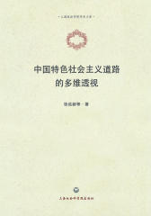 中国特色社会主义道路的多维透视