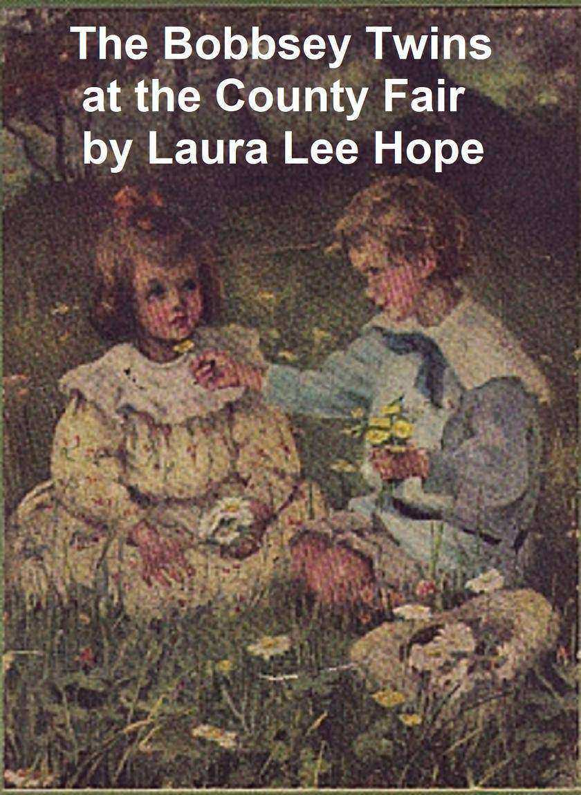 The Bobbsey Twins at the County Fair