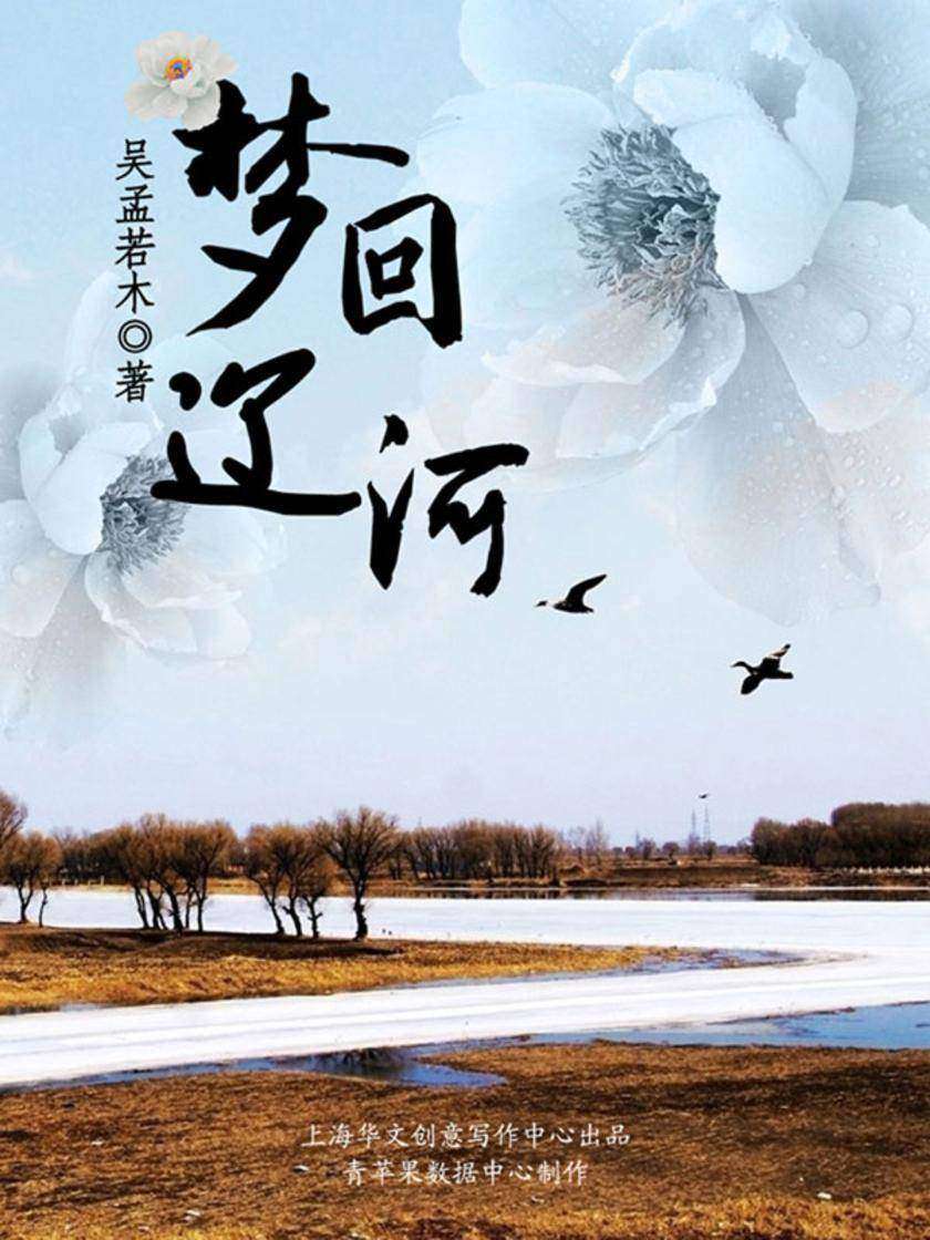 梦回辽河