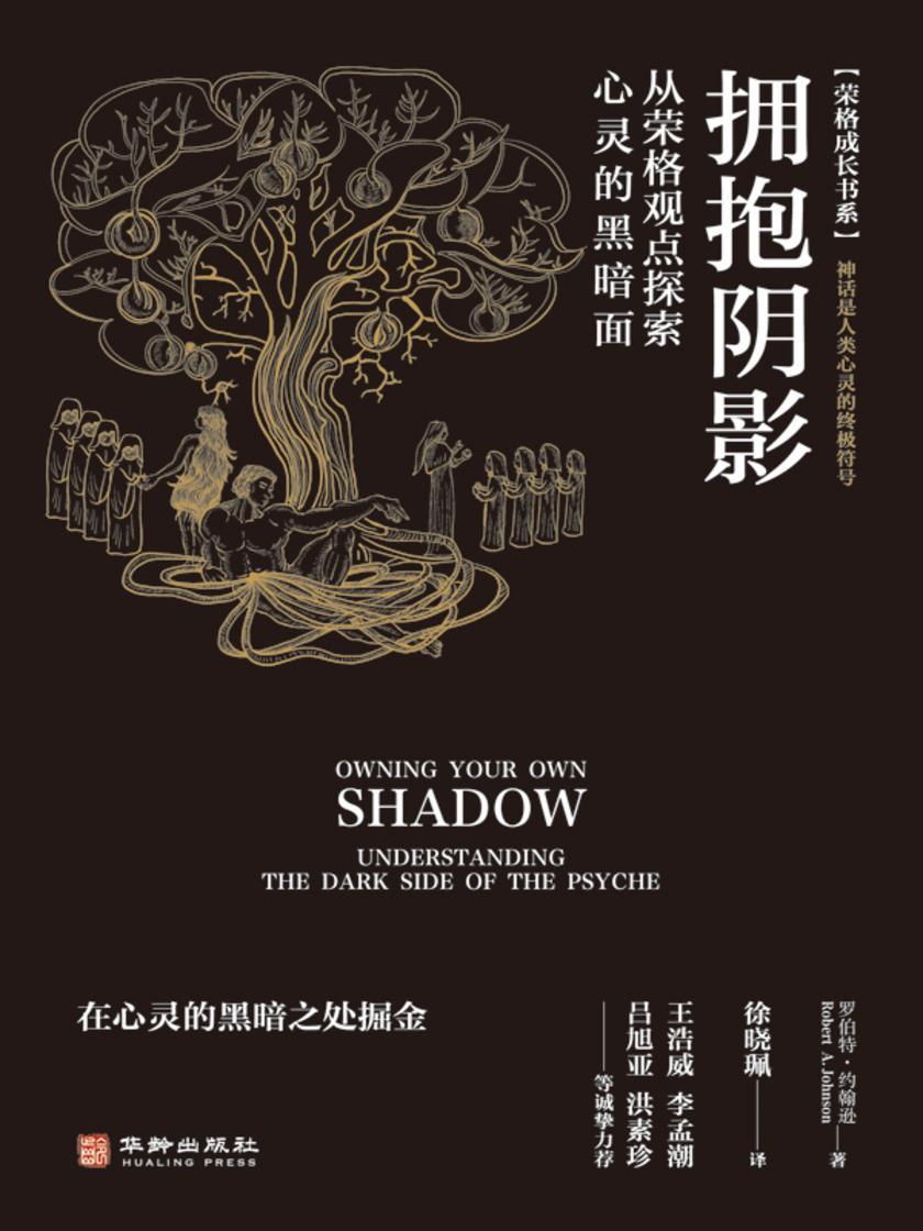 拥抱阴影:从荣格观点探索心灵的黑暗面