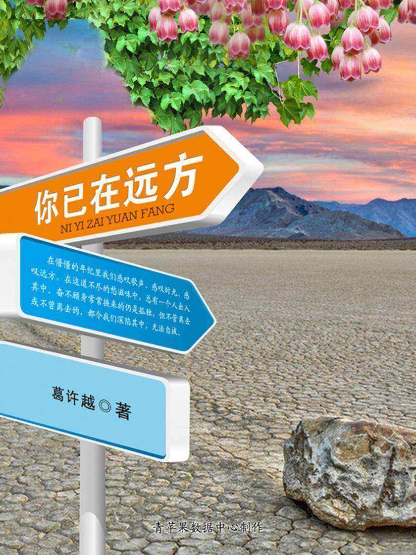 你已在远方