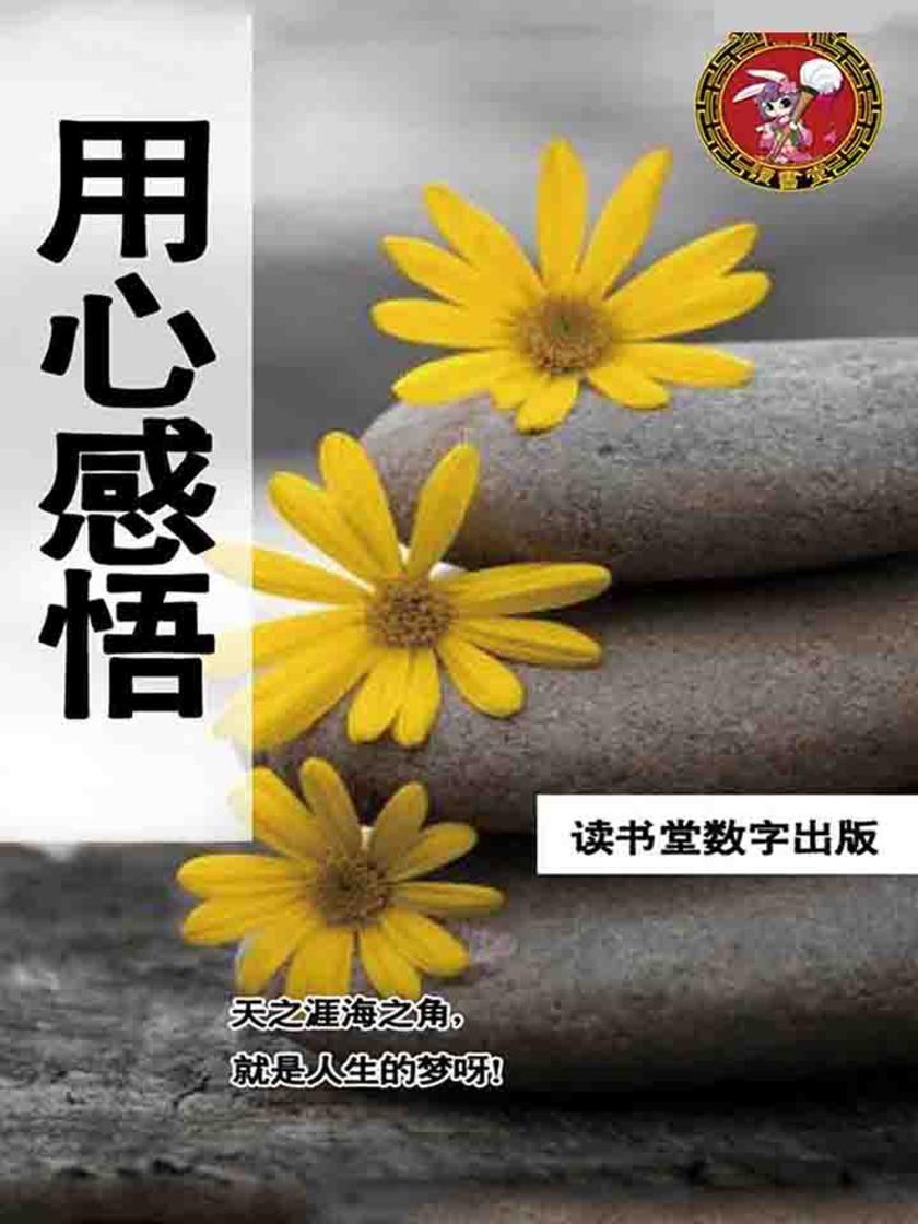 用心感悟