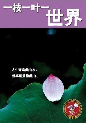 一枝一叶一世界