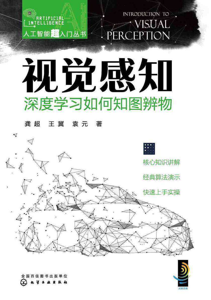 人工智能超入门丛书--视觉感知:深度学习如何知图辨物
