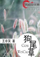 狗尾草