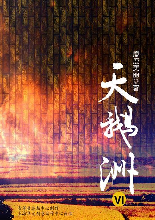 天鹅洲VI