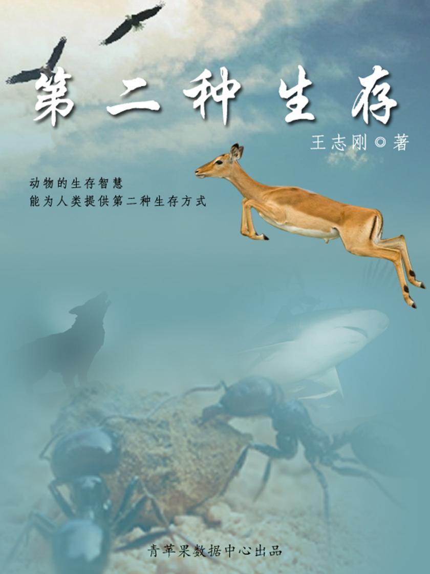 第二种生存：学习动物的生存智慧