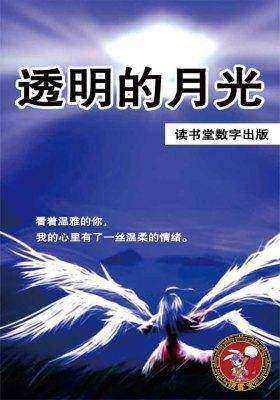 透明的月光