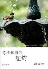 你不知道的纽约