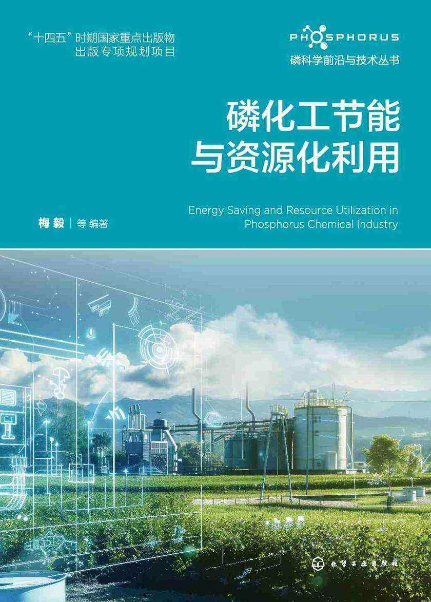 磷科学前沿与技术丛书--磷化工节能与资源化利用