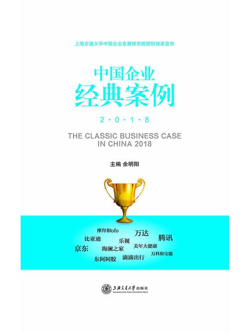 中国企业经典案例：2018