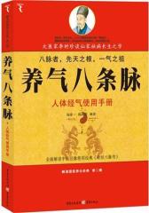 养气八条脉——人体经气使用手册(试读本)