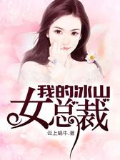 我的冰山女总裁